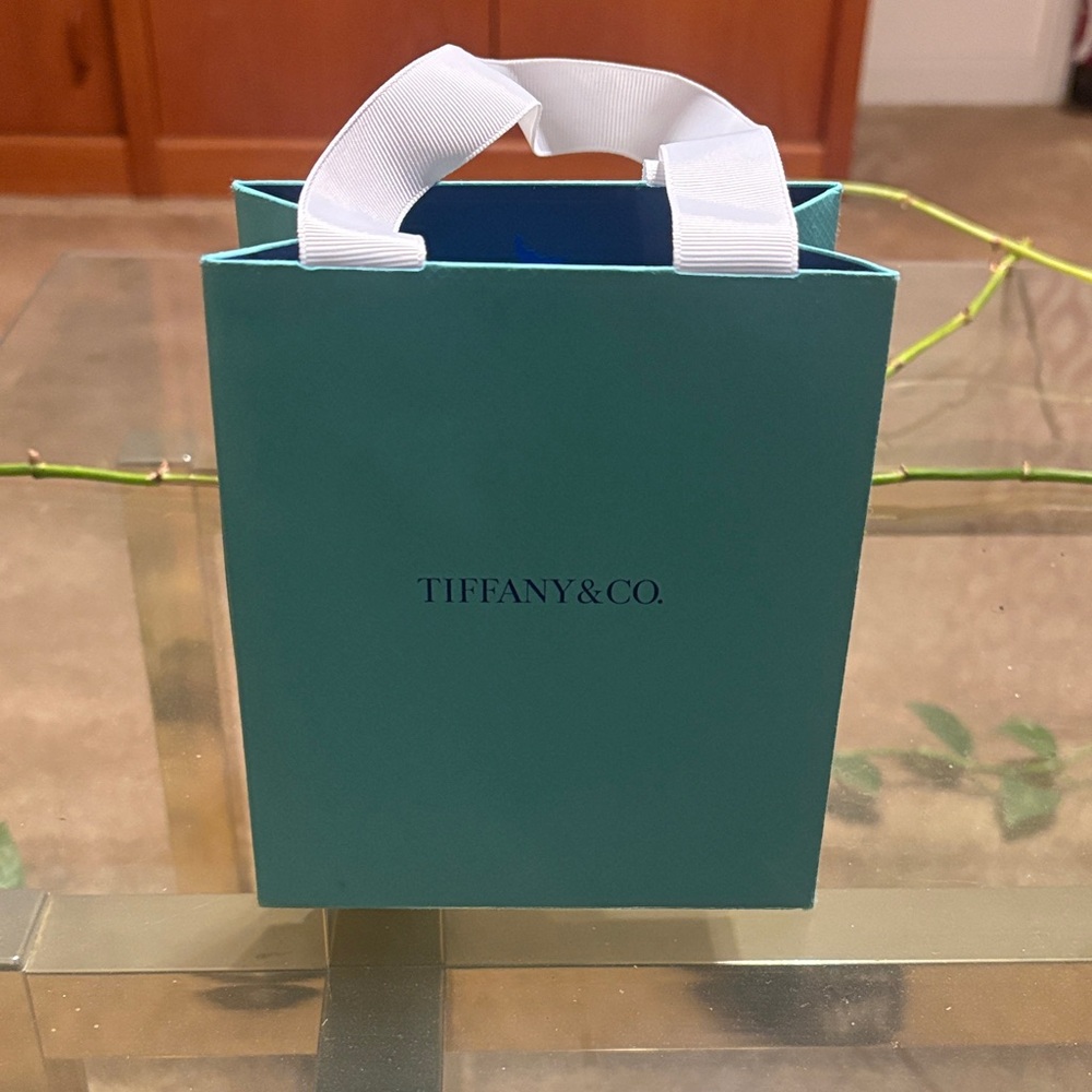 Tiffany & Co. Teal Bag with White Handles